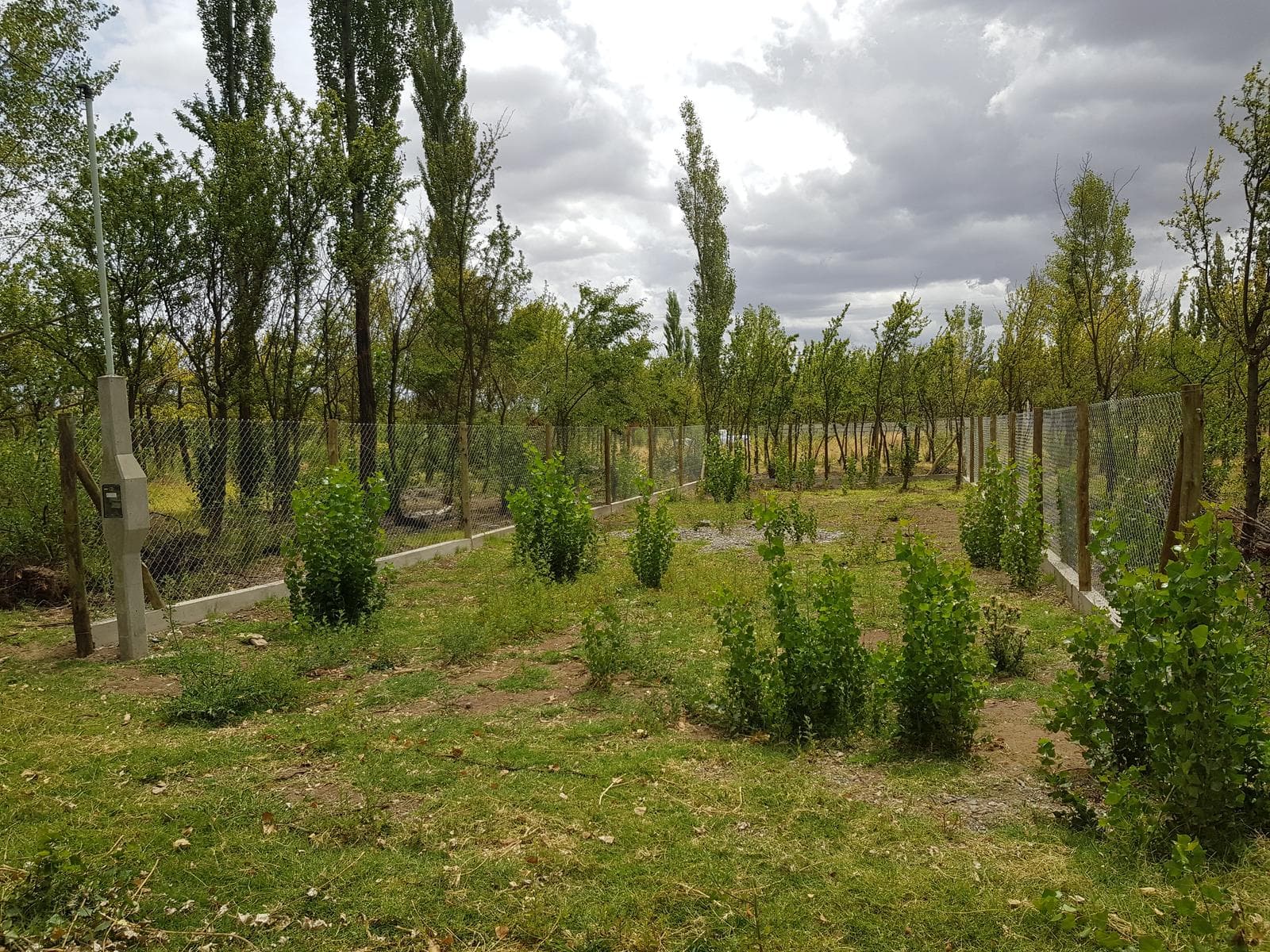 Foto 4