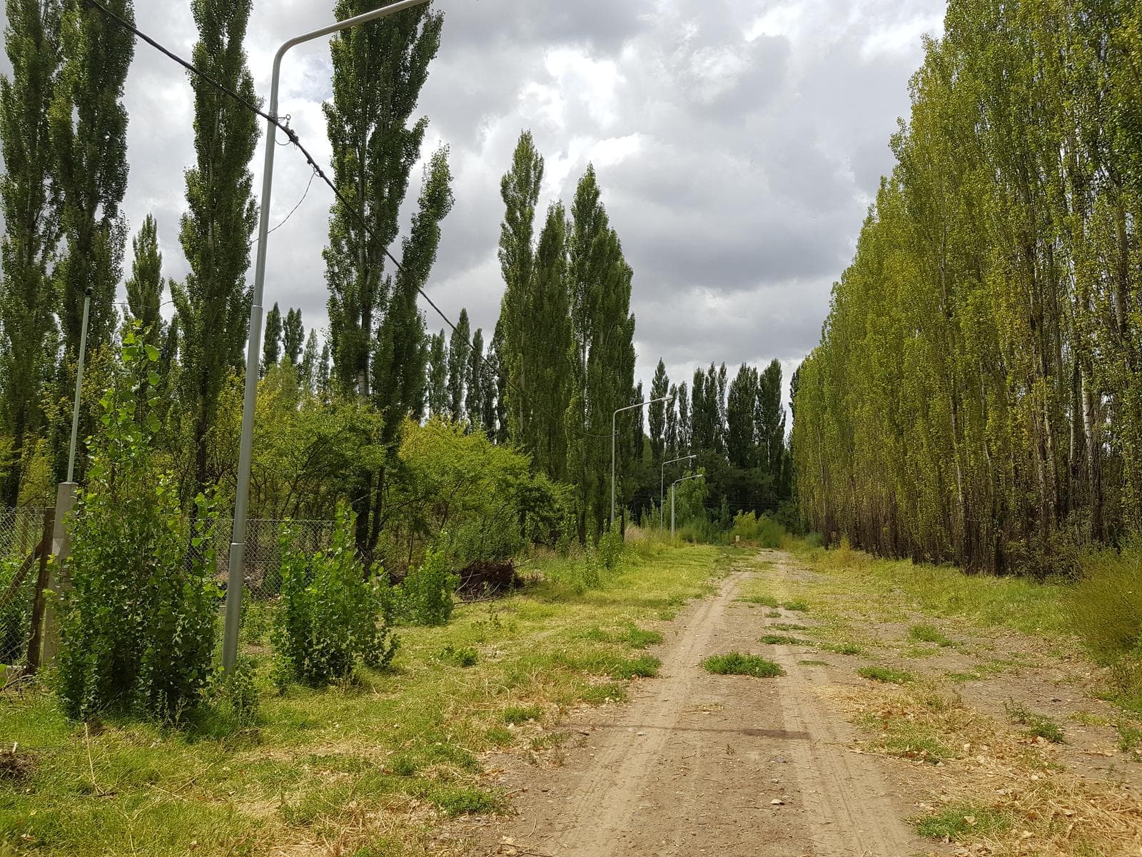 Foto 1